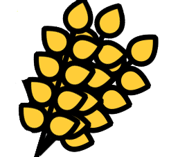 برنج